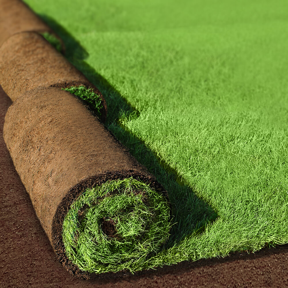 Artificial Turf